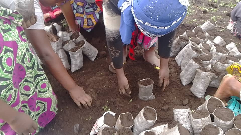 Le Cri de la Terre et la Voix des Femmes : Quand la Pépinière d'EPENA KIBUMBA Sème l'Espoir et la Paix