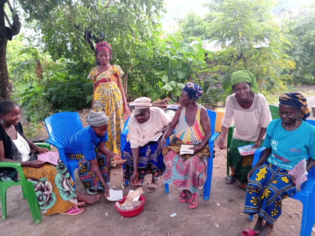 Les actions des mutuelles de solidarité dans le territoire de Fizi (Sud-Kivu, RDC) : cotisation, partage des intérêts et impact communautaire